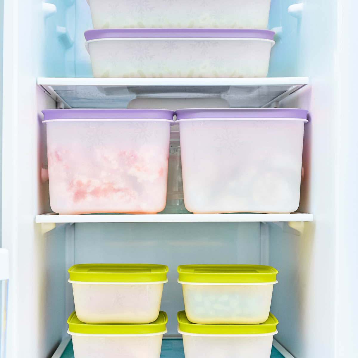 Freezer Mates® Plus | Starter Set - Image 6